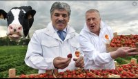 Создать мем М