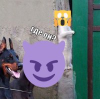 Создать мем Минты и бандит