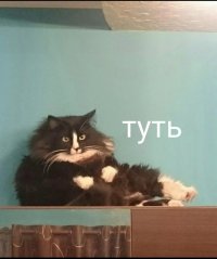 Создать мем Настя где вся еда с холодильника