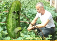 Создать мем Огурчик