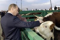 Создать мем П