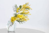 Создать мем Сожительство