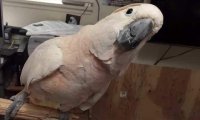 Создать мем Сожительство