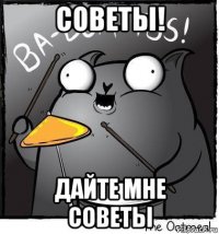 советы! дайте мне советы