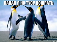 пацан я на тусу пожрать 
