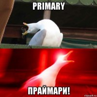 primary праймари!