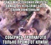 дайте мне спокойно умереть! димаш, ну нельзя же быть таким офигенным! соберись, тряпка! это только промо от клипа!