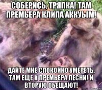 соберись, тряпка! там премьера клипа аккуым! дайте мне спокойно умереть, там еще и премьера песни! и вторую обещают!