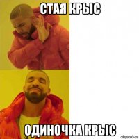 стая крыс одиночка крыс