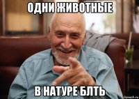 одни животные в натуре блть