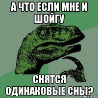 а что если мне и шойгу снятся одинаковые сны?