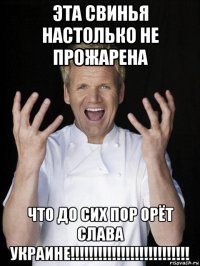 эта свинья настолько не прожарена что до сих пор орёт слава украине!!!!!!!!!!!!!!!!!!!!!!!!!!