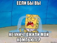если бы вы не уничтожили мой компьютер