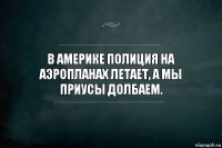 В Америке полиция на аэропланах летает, а мы приусы долбаем.