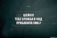 шейко!
тебе служба в овд
прибавила ума ?