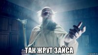 так жрут зайса