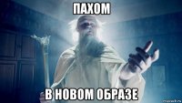 пахом в новом образе