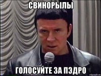 свинорылы голосуйте за пэдро