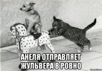  анеля отправляет жульвера в ровно