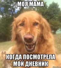 моя мама когда посмотрела мой дневник