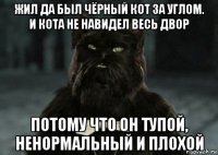 жил да был чёрный кот за углом. и кота не навидел весь двор потому что он тупой, ненормальный и плохой