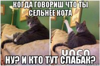 когда говориш что ты сельнее кота ну? и кто тут слабак?