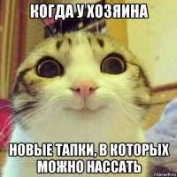 когда у хозяина новые тапки, в которых можно нассать