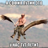 а софия путин это у нас тут летит