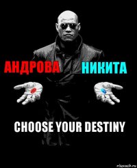 Андрова Никита Choose your destiny