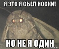 я это я съел носки! но не я один