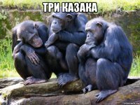 три казака 