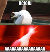 ксюш ааааааааааааааааа