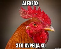 alexfox это куреца xd