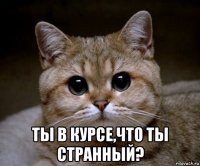  ты в курсе,что ты странный?