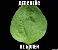 девспейс не болей