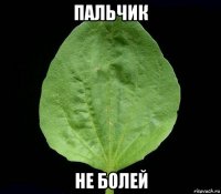 пальчик не болей