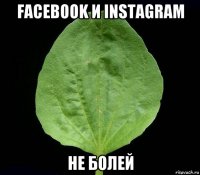 facebook и instagram не болей