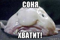 соня хватит!