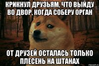 крикнул друзьям, что выйду во двор, когда соберу орган от друзей осталась только плесень на штанах