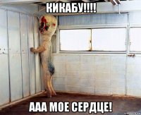 кикабу!!!! ааа мое сердце!