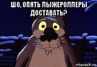 шо, опять лыжероллеры доставать? 