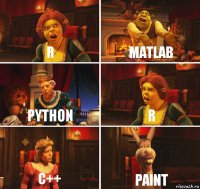 R Matlab Python R С++ Paint