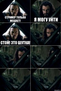 Стример только мешает! я могу уйти стой! это шутка!     