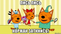 пись пись коржак заткнись!
