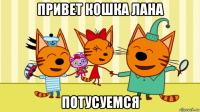 привет кошка лана потусуемся