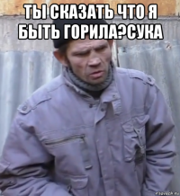 ты сказать что я быть горила?сука 