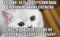 хозяин: эх ты котетский наш дурачок не каких сосисок. кот: ну пазязя! ты же не огорчишь бедного ваську?