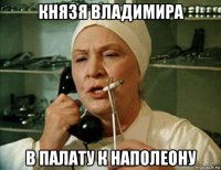 князя владимира в палату к наполеону