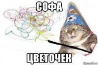 софа цветочек