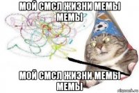 мой смсл жизни мемы мемы мой смсл жизни мемы мемы